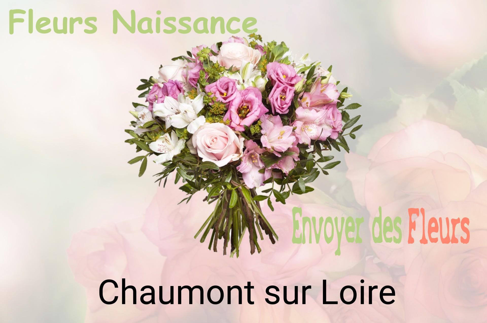 Bouquet de fleurs de naissance livré à Chaumont-sur-Loire