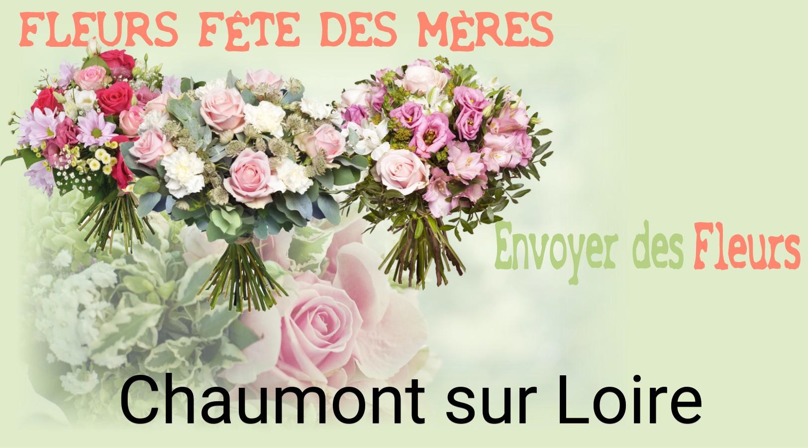 Bouquet de Fête des Mères livré à Chaumont-sur-Loire